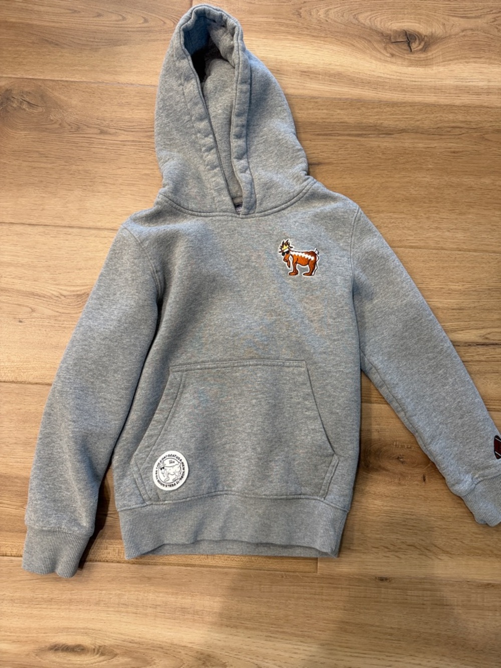 Goat USA football hoodie